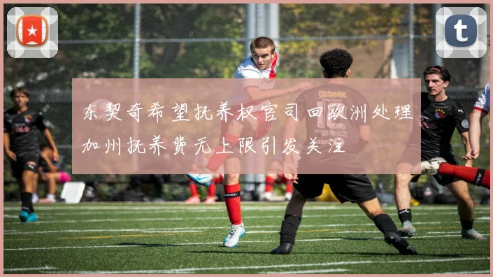 东契奇希望抚养权官司回欧洲处理加州抚养费无上限引发关注